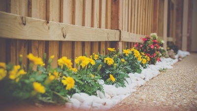 A beginner's guide to landscaping