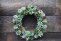 DIY Ideas: Make your own succulent wreath