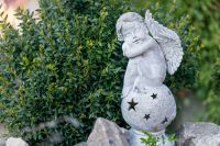 How to choose and use garden decorations