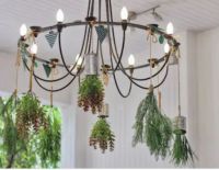 How to make a chandelier hanging planter