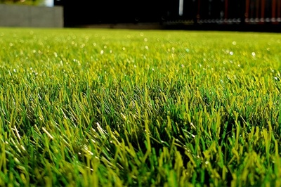 Keep your lawn looking healthy even when it’s dry