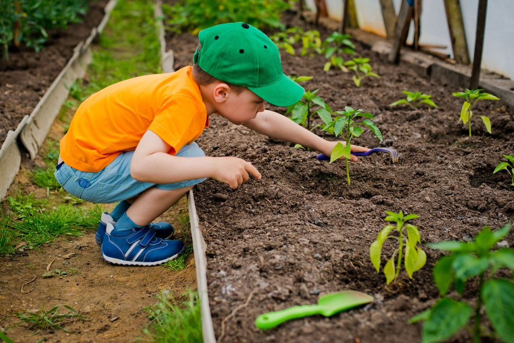 Top plants for children to grow The Secret Garden