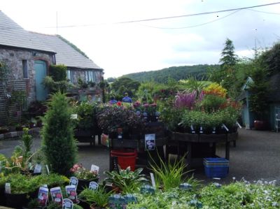 The Garden Centre