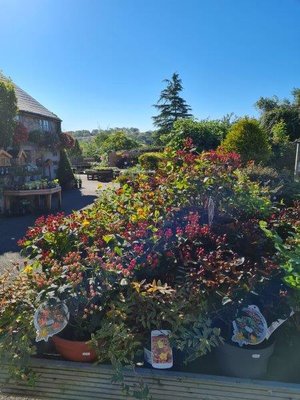 Autumn at the secret garden