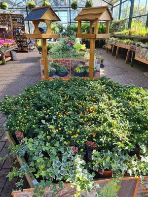 Autumn at the secret garden
