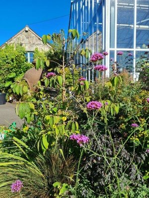 Autumn at the secret garden