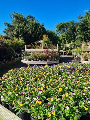 Autumn at the secret garden