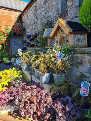 Autumn at the secret garden