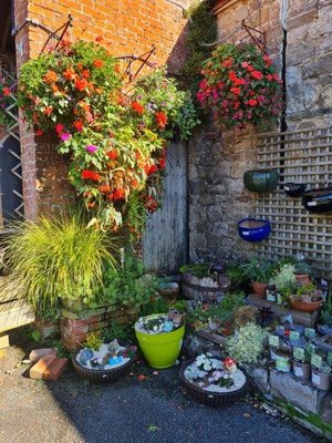 Autumn at the secret garden