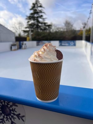 Christmas & Ice Skating Rink