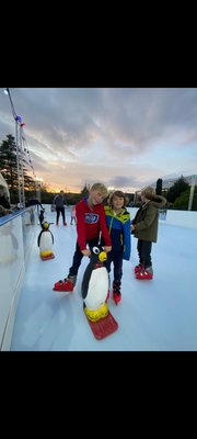 Christmas & Ice Skating Rink