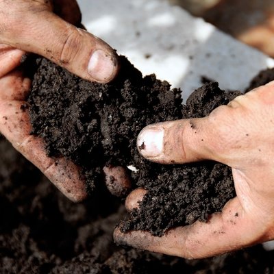 Soil and fertilisers