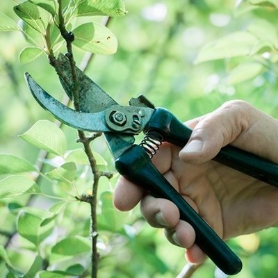 Must-have gardening tools