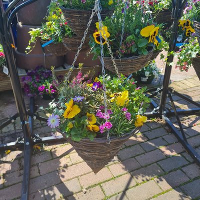 Hanging Baskets